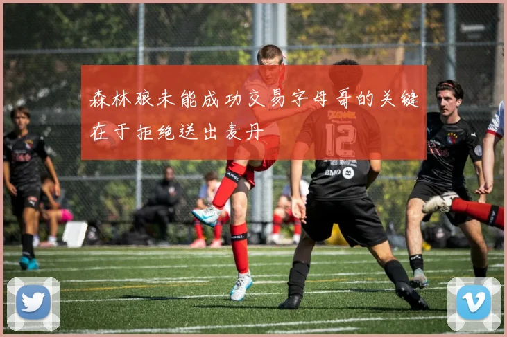 森林狼未能成功交易字母哥的关键在于拒绝送出麦丹