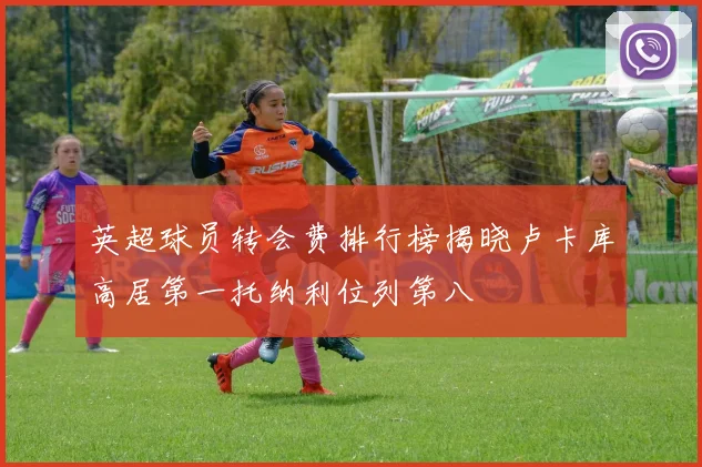 英超球员转会费排行榜揭晓卢卡库高居第一托纳利位列第八